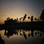Twilight at JA Lake View, Dubai, UAE